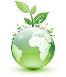 Cuidando el Ambiente
